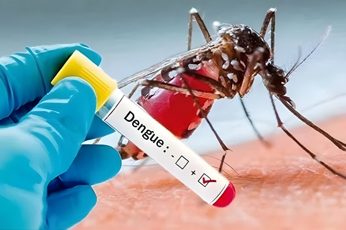 Five More Die of Dengue in Last 24 Hours