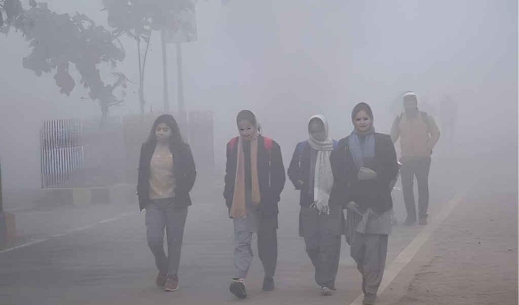 fog and cold to intensify in dhaka says meteorological department Fog and cold to intensify in Dhaka, says Meteorological Department
