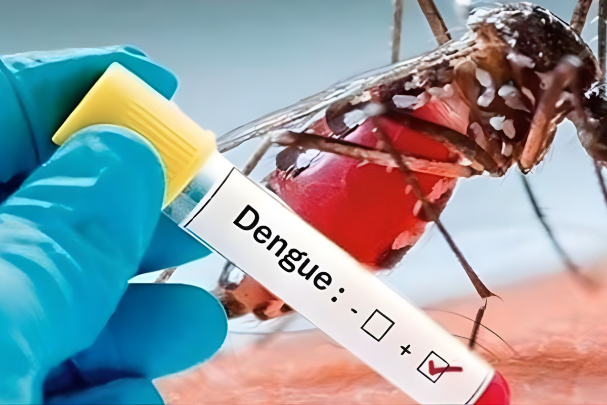 Four Deaths from Dengue in One Day, 920 New Infections