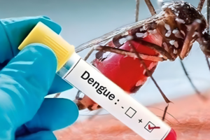 Four Deaths from Dengue in One Day, 920 New Infections