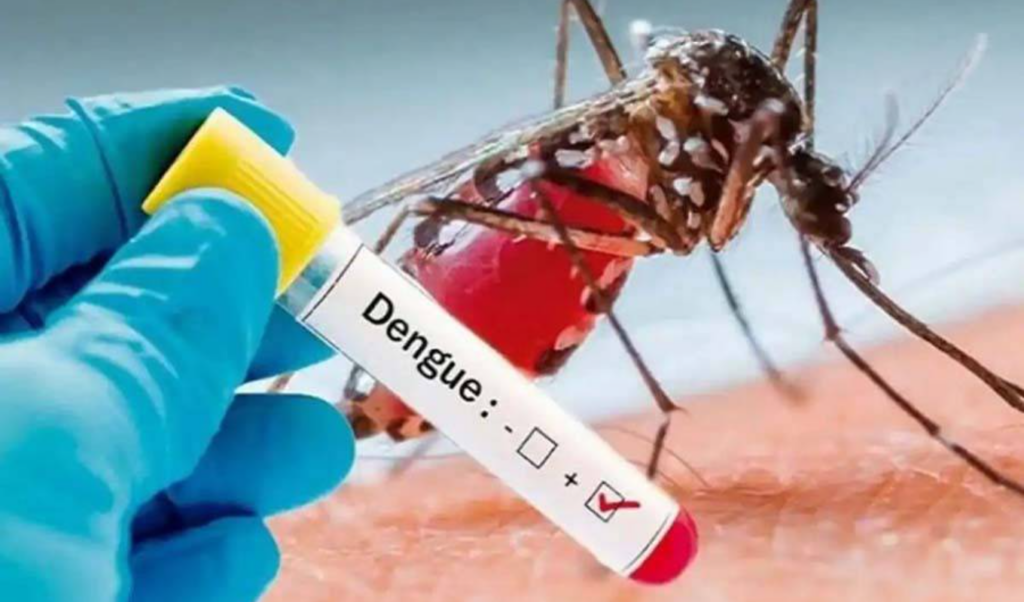 four more die of dengue in bangladesh as 942 new patients admitted in 24 hours Four More Die of Dengue in Bangladesh as 942 New Patients Admitted in 24 Hours