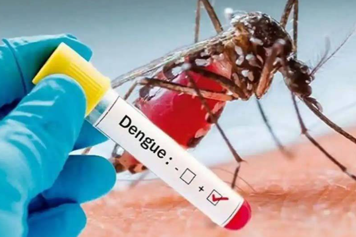 Four More Die of Dengue in Bangladesh as 942 New Patients Admitted in 24 Hours