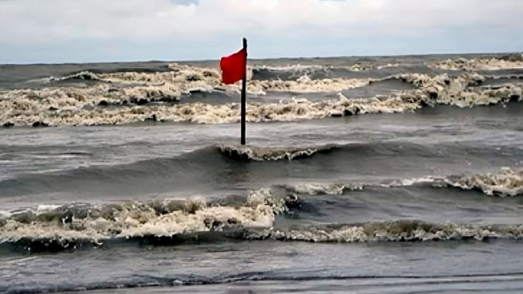 four sea ports issued signal no 3 alert department of meteorology Four Sea Ports Issued Signal No. 3 Alert: Department of Meteorology