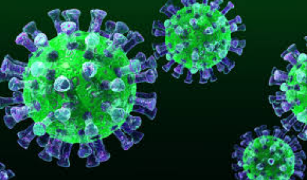 france confirms two mers cases among tour group members France Confirms Two MERS Cases Among Tour Group Members