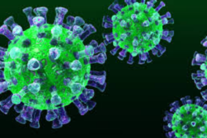 France Confirms Two MERS Cases Among Tour Group Members