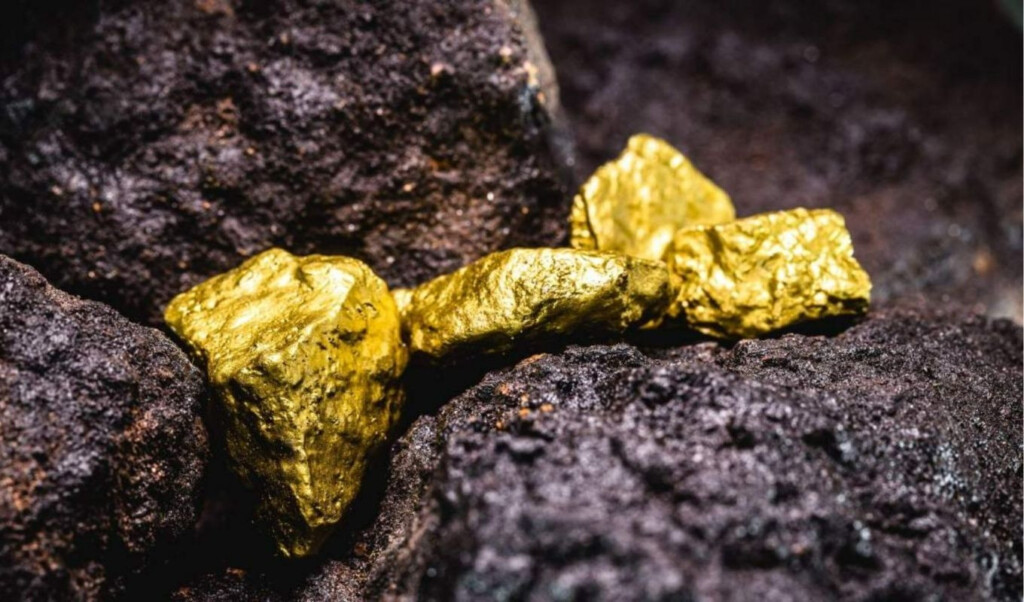 frenchman uncovers hidden gold treasure while digging garden pool Frenchman Uncovers Hidden Gold Treasure While Digging Garden Pool
