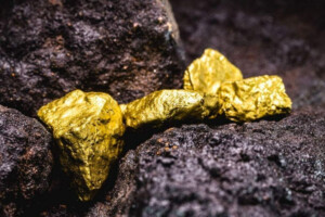 Frenchman Uncovers Hidden Gold Treasure While Digging Garden Pool