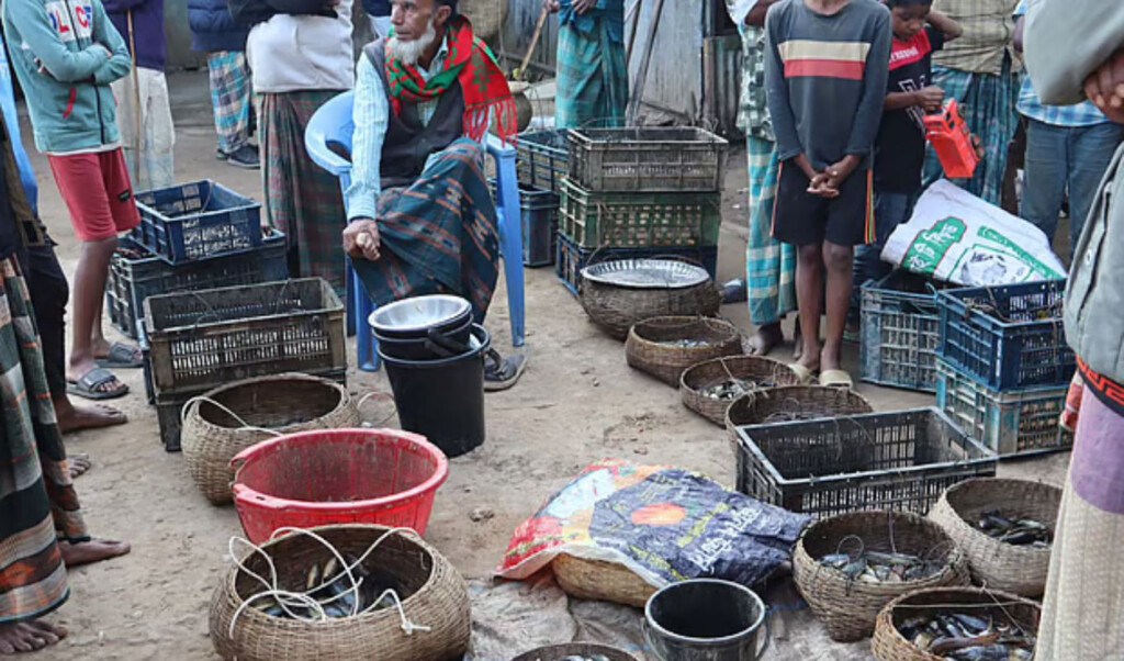 fresh haor fish market wraps up within two hours Fresh Haor Fish Market Wraps Up Within Two Hours