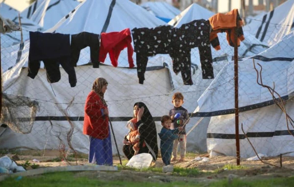 Gaza Begins 2026 Amid Survival Struggle