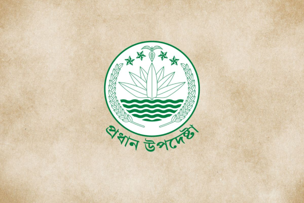 Government Explains Cancellation of Music Education Teacher Recruitment in Primary Schools