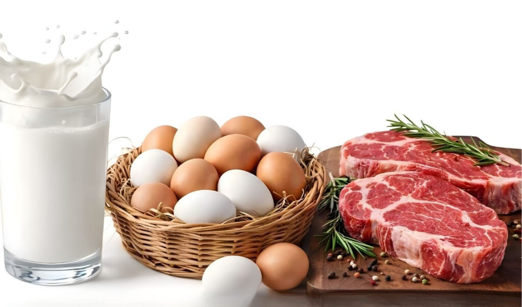 government initiative one million families to receive affordable milk eggs and meat during ramadan Government Initiative: One Million Families to Receive Affordable Milk, Eggs, and Meat During Ramadan