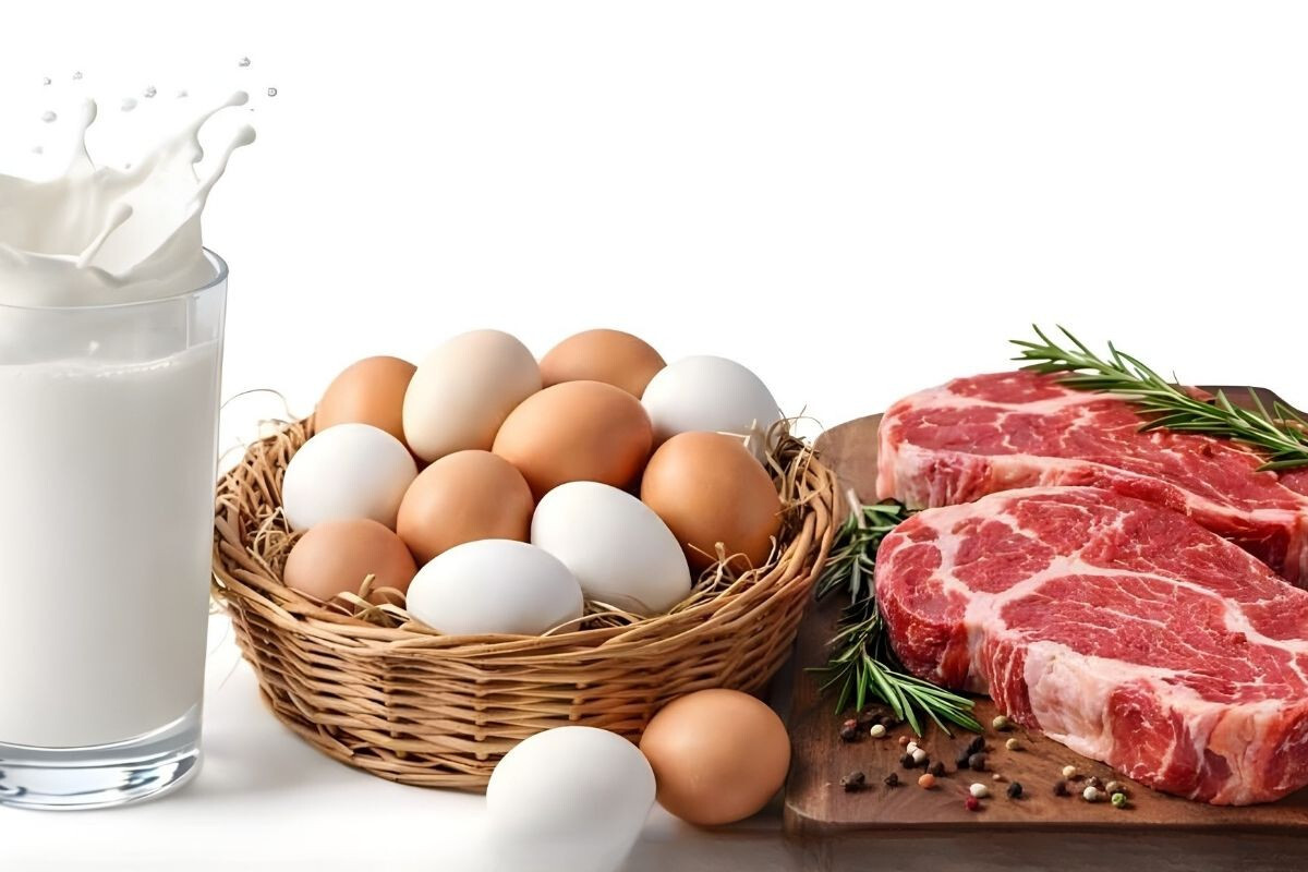 Government Initiative: One Million Families to Receive Affordable Milk, Eggs, and Meat During Ramadan