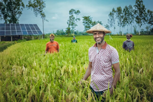 Government Plans Crop Insurance Scheme