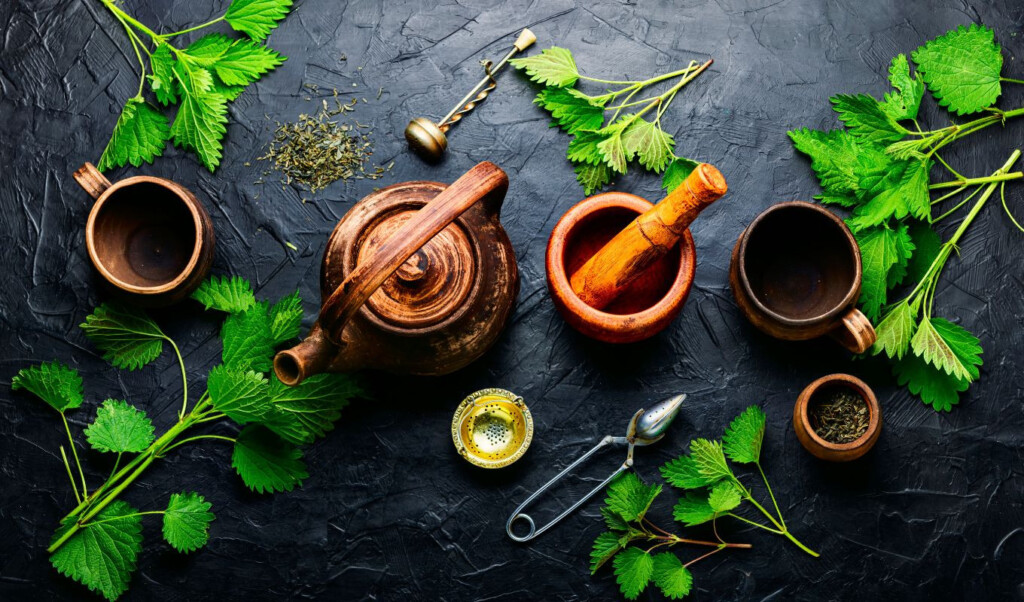 herbal teas can reduce menstrual pain Herbal Teas Can Reduce Menstrual Pain