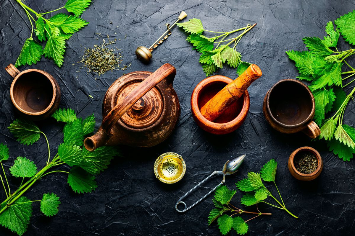 Herbal Teas Can Reduce Menstrual Pain