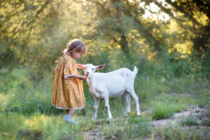 How Keeping Pets at Home Affects Human Immunity