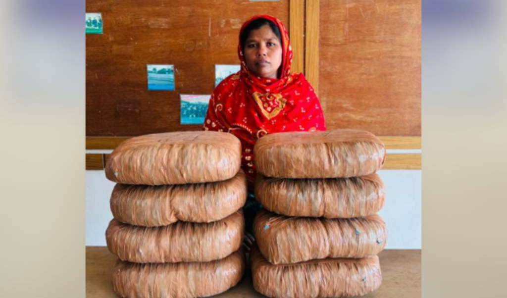 husband and wife arrested with 16 kilograms of cannabis in gopalganj Husband and Wife Arrested with 16 Kilograms of Cannabis in Gopalganj