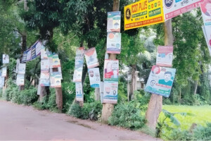 If you hammer a nail into a tree, you will be fined 20,000 taka