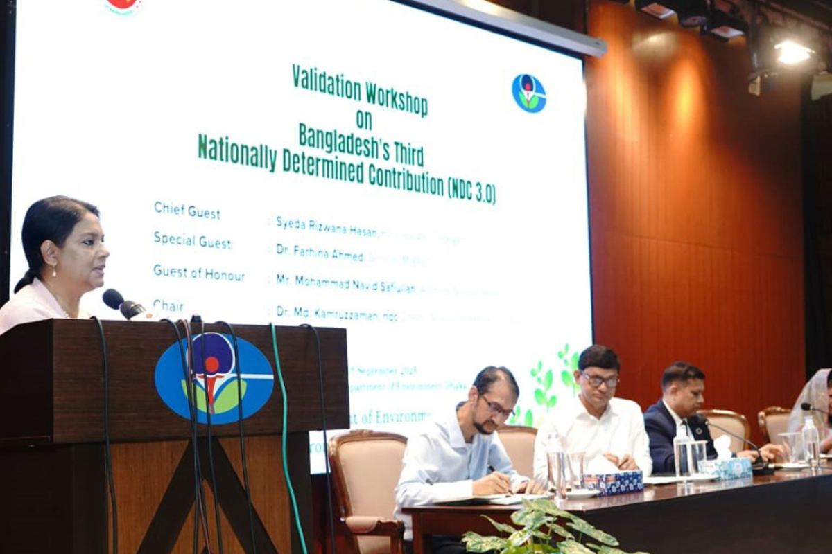 Implementation of NDC 3.0 Challenging Without $116 Billion: Environment Adviser