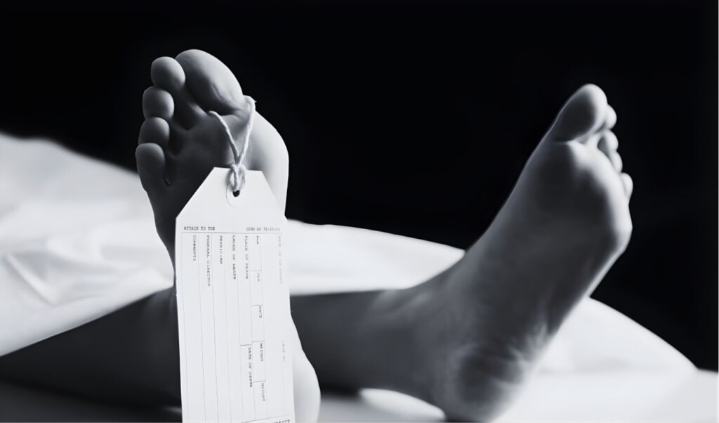 in jessore a son has been killed by his father with a hoe In Jessore, a son has been killed by his father with a hoe
