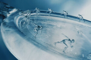 Intact Insurance Joins Team Canada for Olympic Debut