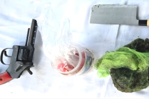 Joint Operation Seizes Firearms and Explosives in Manikganj