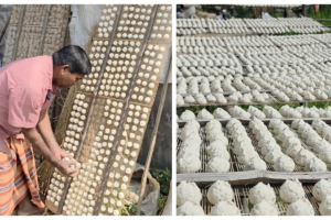 Kalai Dal: Transforming the Lives and Livelihoods of Hundreds of Artisans