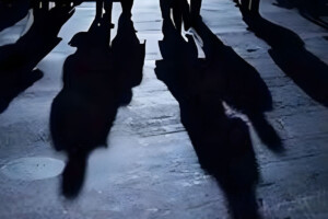 Kiplin Doriga Sentenced to 3 Years for Assault in Jersey