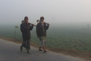 Kurigram Faces Severe Cold as Daily Life Disrupted