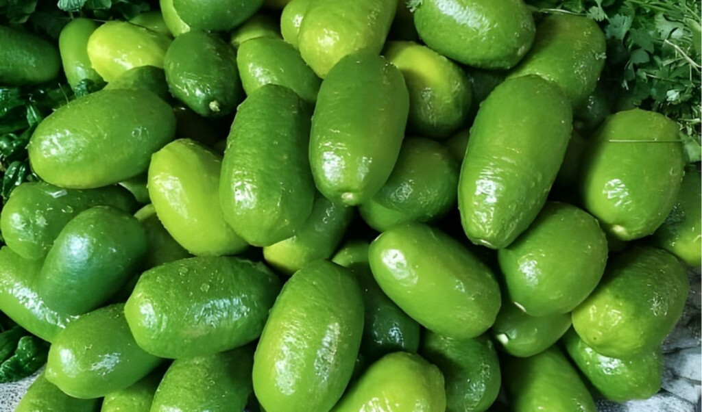 lemon prices soar on ramadans first day Lemon Prices Soar on Ramadan’s First Day