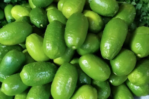 Lemon Prices Soar on Ramadan’s First Day