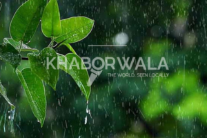 Light drizzle likely across the country, temperatures set to fluctuate