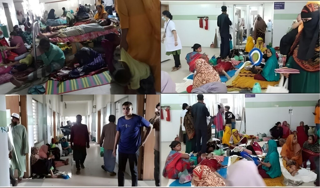 looting at government hospitals patients ignored Looting at government hospitals, patients ignored