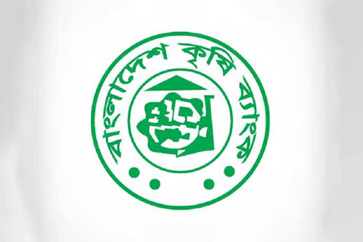 Low-Interest Loans for Primary Teachers