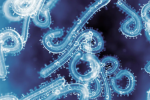 Marburg Outbreak in Ethiopia Sparks Heightened Alert Across Africa