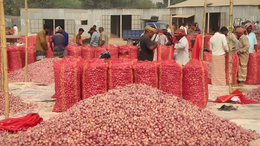 market manipulation drives up onion prices in bangladesh Market Manipulation Drives Up Onion Prices in Bangladesh