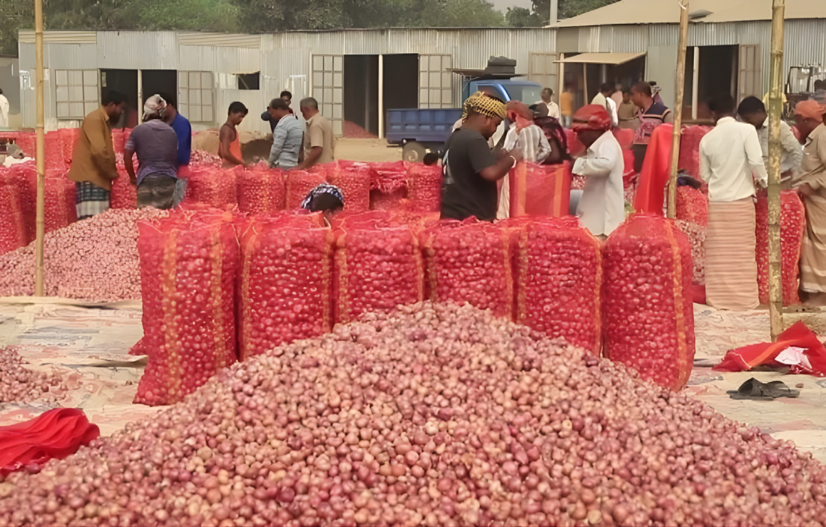 Market Manipulation Drives Up Onion Prices in Bangladesh
