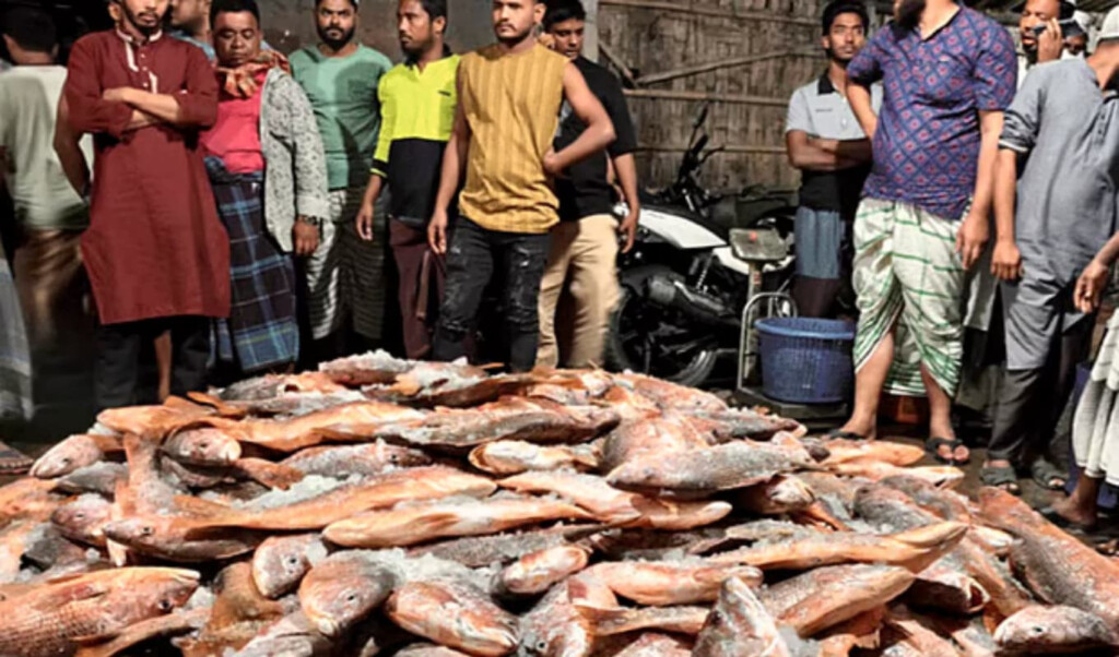 Massive Red Coral Catch Worth 31.2 Lakh in Teknaf 2 massive red coral catch worth 312 lakh in teknaf Massive Red Coral Catch Worth 31.2 Lakh in Teknaf