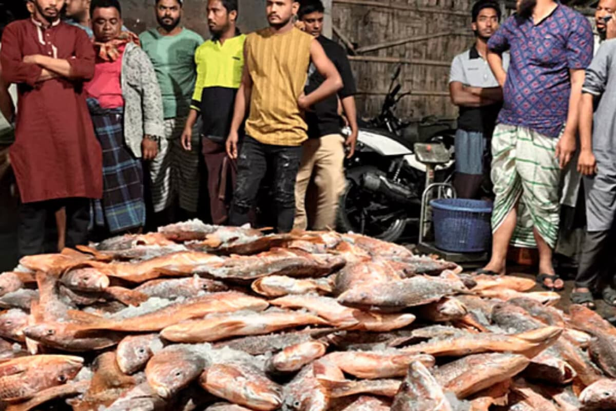 Massive Red Coral Catch Worth 31.2 Lakh in Teknaf