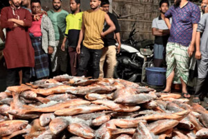 Massive Red Coral Catch Worth 31.2 Lakh in Teknaf