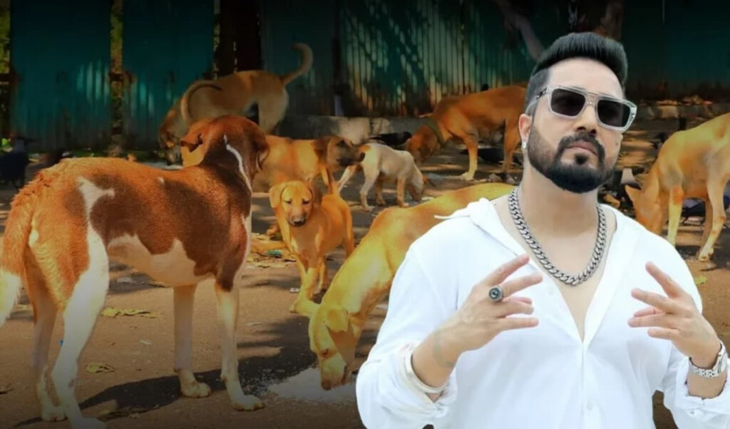 mika singh proposes for 10 acres of land donation for stray dog shelter Mika Singh Proposes For 10 Acres Of Land Donation for Stray Dog Shelter