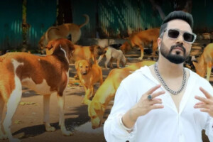 Mika Singh Proposes For 10 Acres Of Land Donation for Stray Dog Shelter