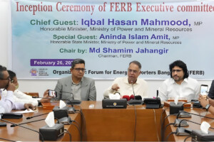 Minister Vows to Reduce Reliance on Foreign Gas