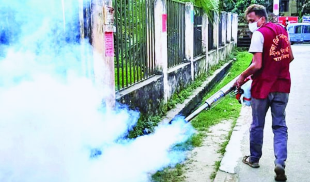 mosquito infestation plagues urban bangladesh Mosquito Infestation Plagues Urban Bangladesh