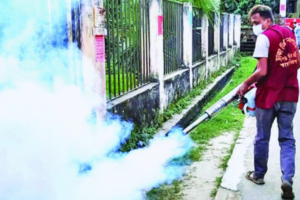Mosquito Infestation Plagues Urban Bangladesh