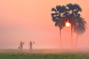 Nationwide Winter Advisory Issued Across Bangladesh