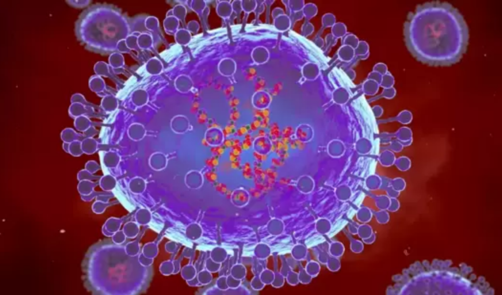 new strain of dengue spreading panic in sylhet nearly 400 cases identified New Strain of Dengue Spreading Panic in Sylhet, Nearly 400 Cases Identified