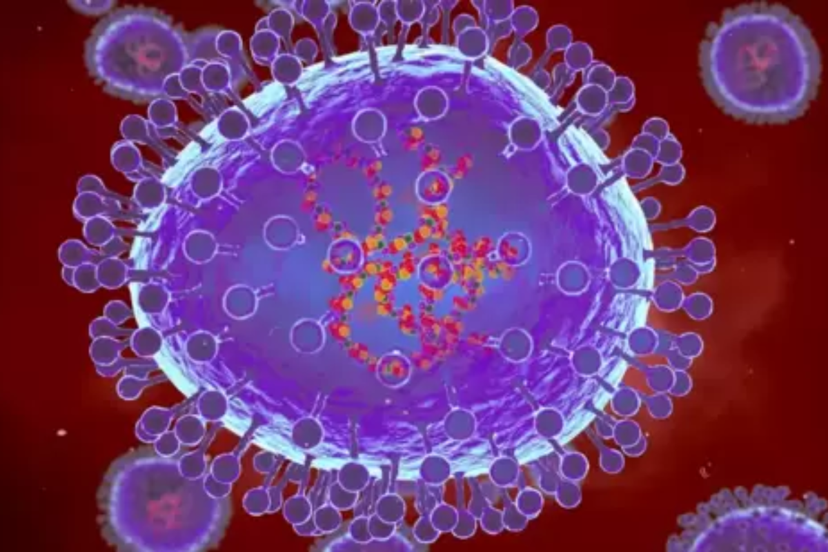 New Strain of Dengue Spreading Panic in Sylhet, Nearly 400 Cases Identified