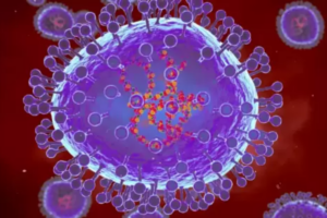 New Strain of Dengue Spreading Panic in Sylhet, Nearly 400 Cases Identified