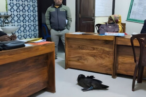 NGO Worker Seizes Household Duck Over Unpaid Instalment